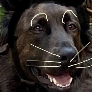 Meet your Posher, Jeff